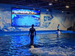 -石林冰雪海洋世界