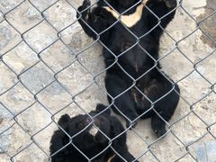 -石家庄市动物园