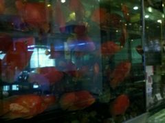金鱼-鸿瑞興面馆(梅岭店)