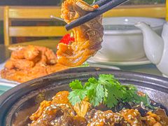 -兴隆槟榔园休闲农庄