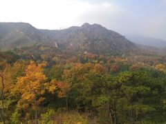 -北京鹫峰国家森林公园