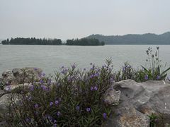 -东湖落雁景区