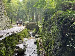 -莫干山风景区