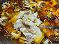 -雲蜀龙阁·金牌水煮鱼(方庄店)