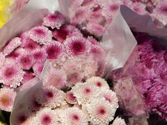 -循礼门鲜花花市(武汉循礼门店)