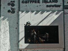 -喵屿·大理花园猫咖