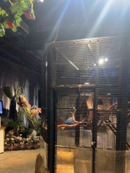 -酷嗒动物文化乐园(cutezoo西溪乐天城店)