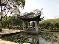 -兰亭风景区