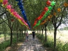 -长兴太湖图影湿地文化园