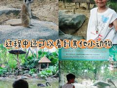 -熊猫自助餐厅.萌趣城堡(长隆熊猫酒店)