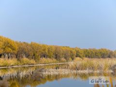 -野鸭湖国家湿地公园