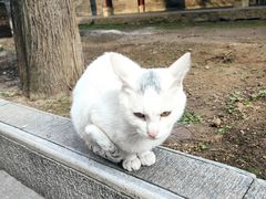 -罔极寺