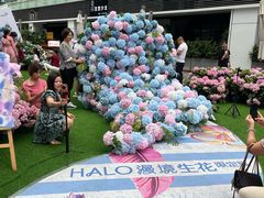 -HALO广场(梨园路店)