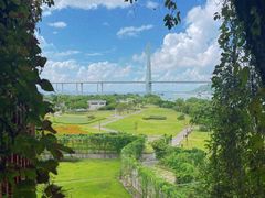 -芒洲湿地公园