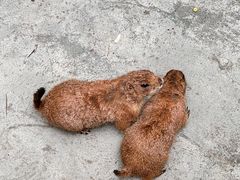 -成都欢乐谷