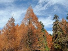 -山王坪喀斯特国家生态公园