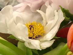 -双季花艺园艺市场(浦东店)
