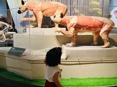 -深圳博物馆历史民俗馆