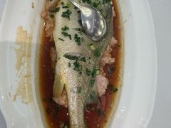 肉饼蒸黄鱼-上海小南国(金桥国际广场店)