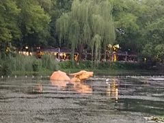 -西湖天地
