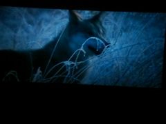 android_upload_pic-横店电影城(李沧店)