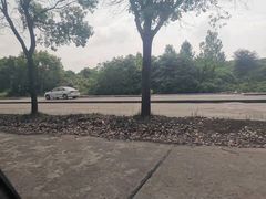 -胜华驾校·小猫学车(银都店)