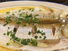 清蒸白水鱼-锡和无锡菜(景丽苑店)