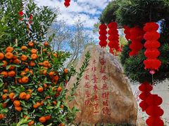 -国恩寺