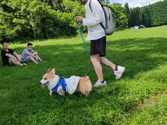 -武陵山森林公园
