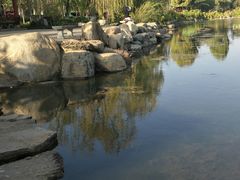 -洛龙公园
