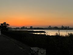 -上海滨江森林公园