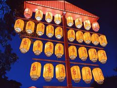 -海上田园