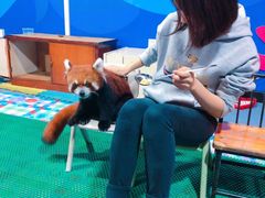 -秦皇岛新澳海底世界