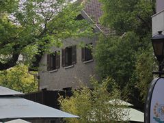 -思南书局(复兴中路店)