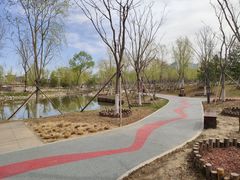 -莲花池公园