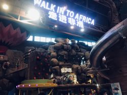 -卡通尼·Safari非洲探索乐园·生日会(金桥国际商业广场店)