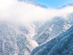 -安吉龙王山风景区