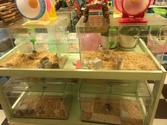 -龙猫仔乐园(惠福东路店)