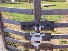 -前小桔亲子创意农场·草莓采摘·露营烧烤