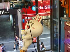 -line friends(明洞旗舰店)