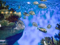 -福州罗源湾海洋世界旅游区