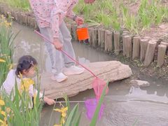 -皇粮浜湿地公园