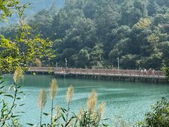 -桃花岭景区
