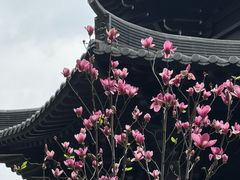 -荔湾湖公园