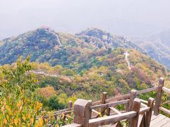 -大岭沟猕猴桃谷风景区