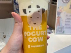 芒芒多-一只酸奶牛(奎星楼店)