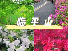 -临平公园(临平街道)