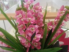 景观位-喜家德虾仁水饺(深圳印力中心店)