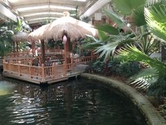 -南宫五洲植物乐园