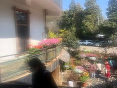 -乡村小榭饭店